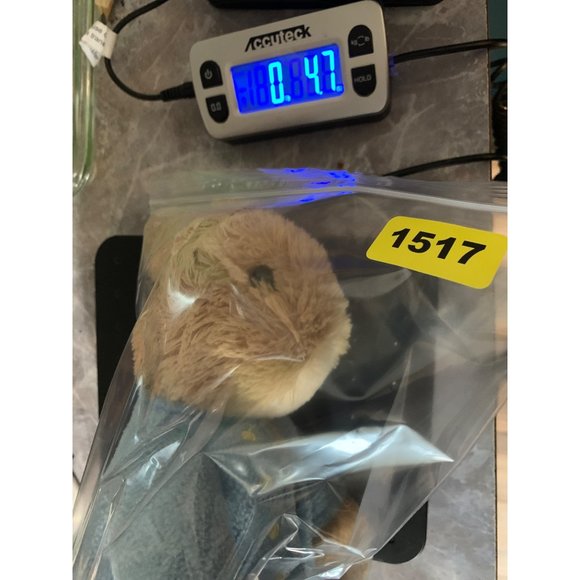 Peter Rabbit Beatrice Porter GUND 604,8964 Rabbit Bunny 2017 12 Inch Brown Tan w - Picture 15 of 15